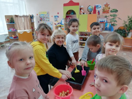 Сегодня дети старшей разновозрастной группы занимались посадкой лука Сегодня дети старшей разновозрастной группы занимались посадкой лука.