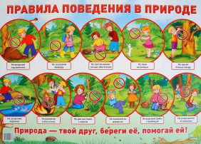 Безопасность в природе Безопасность в природе.